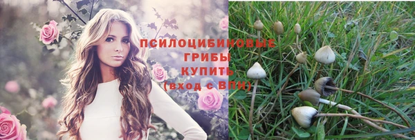ECSTASY Тавда